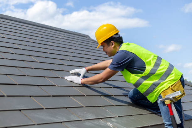 Best Roof Gutter Cleaning  in Pine Crest, TN