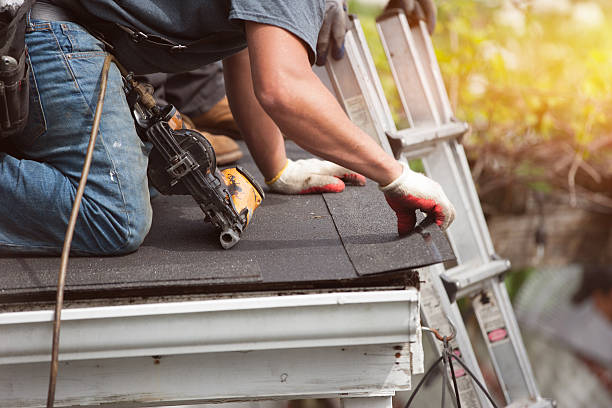 Best Roof Gutter Cleaning  in Pine Crest, TN